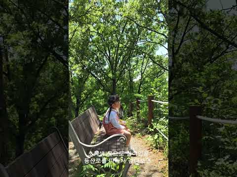 이팝나무 터널이 있는 곳, 영천 금강산성 등산로 [2026새영천알림이단✨]
