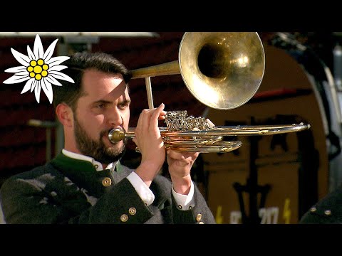 Freiensteiner Walzer | Brodjaga Musi