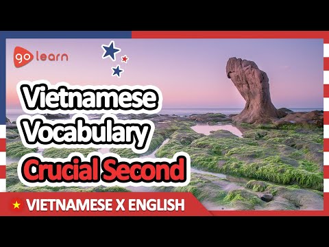 Learn Vietnamese |Part 9: Vietnamese Vocabulary Crucial second | Goleaen