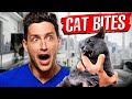 Why Cat Bites Are Actually So Dangerous RTC 35