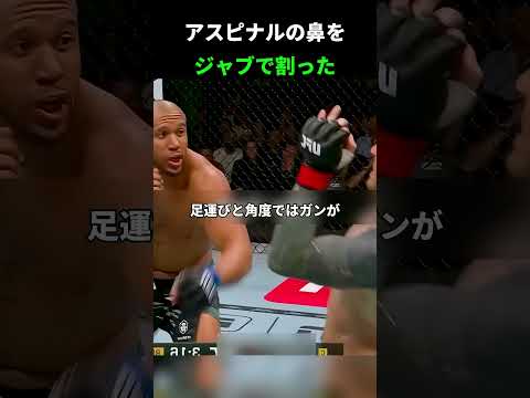 056  アスピナルの鼻を ジャブで割った