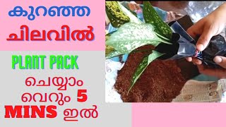 Easy plant packing for online sale /Malayalam