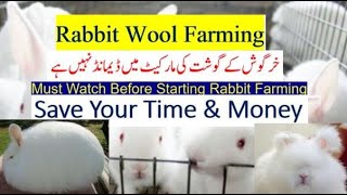 2023 & 2024 Rabbit Farming Secrets| Rabbit Meat has no demand| Angora Rabbit Wool Farming Profitable