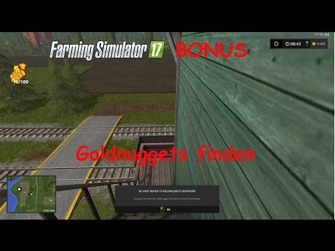 LS 17 [BONUS] Goldnuggets finden