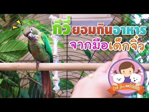 โรคผิวหนังภูมิแพ้ 1 ปี ที่หายจากโรคสะเก็ดเงิน