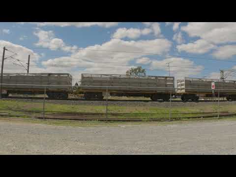 Watco wra006&wra008 empty cattle train at wacol 19/09/23