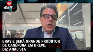 Vídeo: Brasil será grande produtor de Canéfora em breve, diz analista | CNN AGRO NEWS