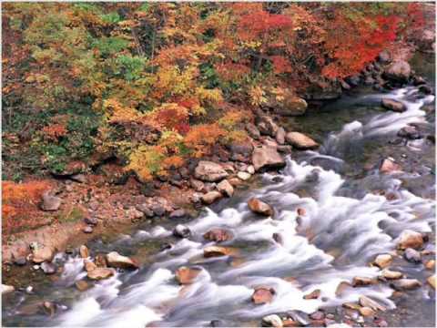 Hương xưa Sheet - Sĩ Phú