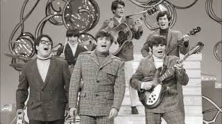 The Turtles - Guide for the Married Man (INSTRUMENTAL + some harmonies)