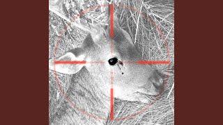 Music video thumbnail preview for Snipers Nest by P.H.F.