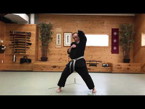 3/28/20 Advanced Karate Class