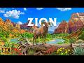 Zion National Park 8K The World S Most Beautiful Sandstone Canyon Like Never Before
