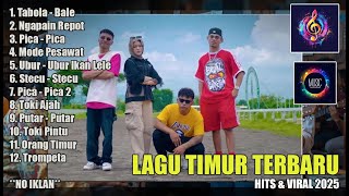 Download lagu FULL ALBUM LAGU TIMUR HITS DAN VIRAL TIK TOK 2025 mp3