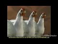 Subway Tv Commercial Come Out With Subway Com 2009 FAKE