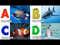 Sea Animals ABC Song For Kids Phonics For Kids Alphabet Letters