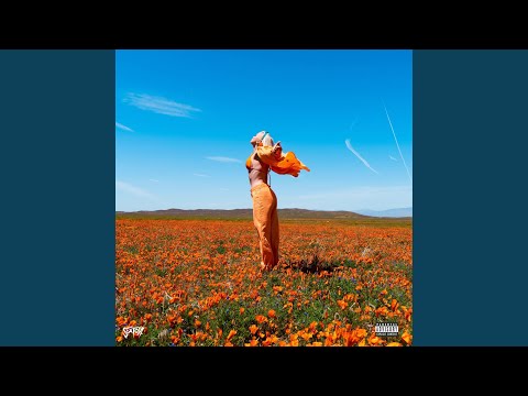 Fight for your dreams