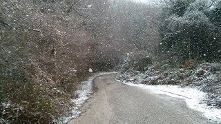 preview picture of video 'NEVICA IL 28 DICEMBRE 2014 AI CASTELLI ROMANI - NEVE A ROCCA DI PAPA (RM) CAMPI DI ANNIBALE'