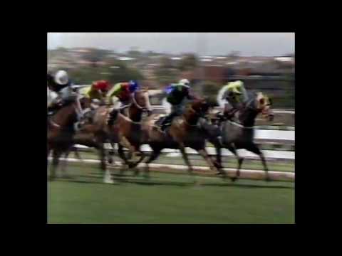 1986 MVRC William Reid Stakes