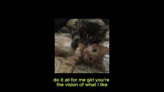 Xxbg - Stay Down (Remix Brent Faiyaz)