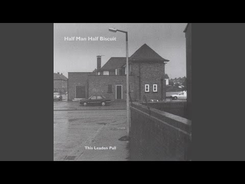 Numanoid Hang Glide - Half Man Half Biscuit