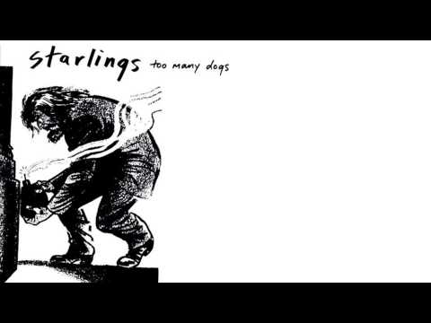 Starlings - Other Peoples Children