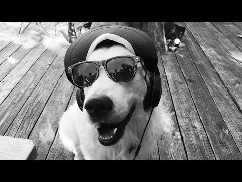 Fridays at the AFHouse w/ Rooney Pitchford | 11/04/16