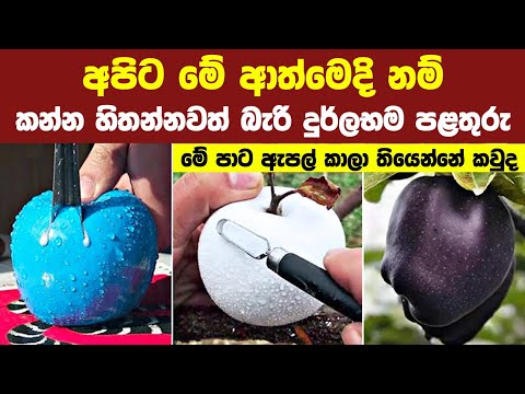 ලොකයේ දුර්ලභම පළතුරු වර්ග 08ක් | 08 Most Amazing & Rare Fruits in the World