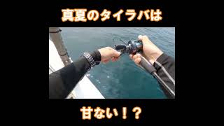 初心者による真夏のタイラバ