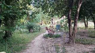 The Healing Garden in Batokonku Gambia!