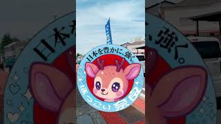 #ほっこり奈良 ＃日本保守党ボランティア　5月26日五條市香芝市ひとり旗見せ