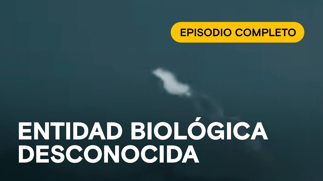 IMPRESIONANTES IMÁGENES del mundo que no vemos | CENTINELAS | EPISODIO COMPLETO Ep. 8 S2