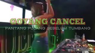 Download lagu DJ Goyang Cancel Full Bass 2019(Stefan Adiyatma) mp3