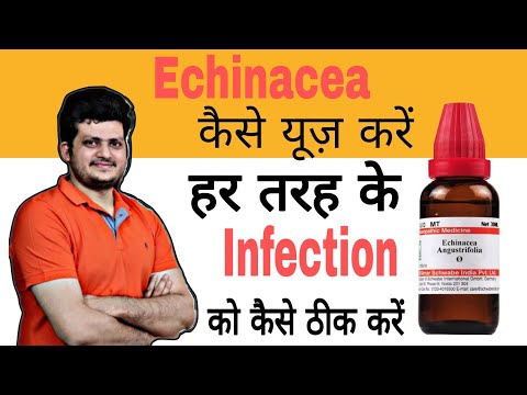 Echinacea Q Mother Tincture कैसे use करें ? हर तरह के Infection को कैसे ठीक करें ?