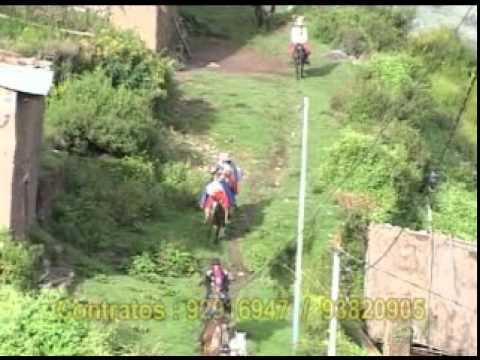 Conjunto Aficion Sangre Grauina Vol.1 -Patron Santiago