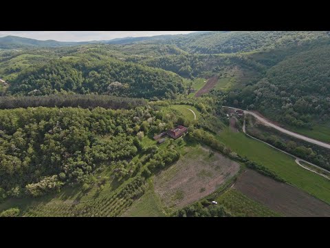 Casă în Dumbrăvița de Codru, Bihor și teren cu suprafața de 8 hectare, de vânzare.