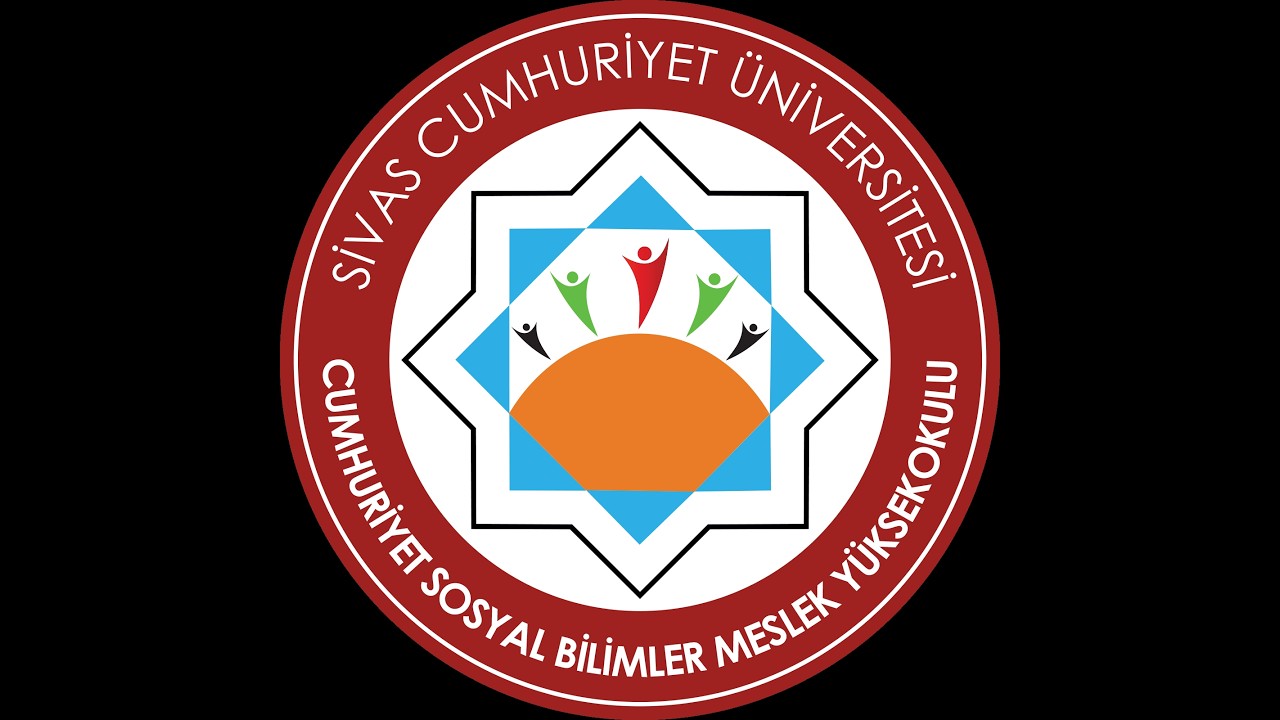Video Image