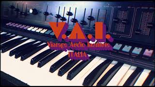 Video thumbnail for V.A.I.  2 : Farfisa Soundmaker - Steelphon S900 - Elka Drummer One - Binson Echorec 2 by Vintage Audio Institute Italia