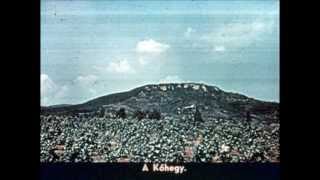 Robbie Basho Venus in Cancer (mashup)