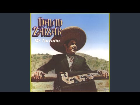 Volaste - David Zaizar