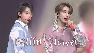 Download lagu SEVENTEEN - 「Fallin' Flower」 | 210427 JAPAN FANMEETING HARE mp3 Download lagu SEVENTEEN - 「Fallin' Flower」 | 210427 JAPAN FANMEETING HARE mp3