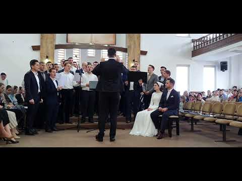 Cor bărbătesc Vicov-Mitoc - Fericiți sunt acești doi