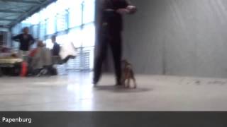 StripPoker's Rumboontje