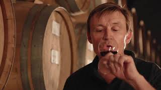 Video Viña Valdivieso