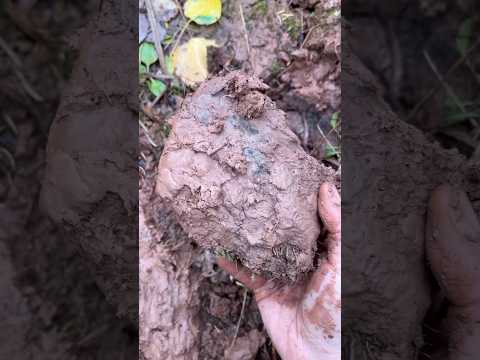 finding wild clay! 😍
