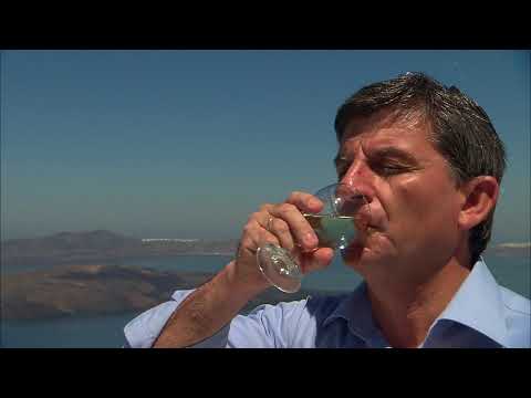 Les vignobles de Santorin (Grèce - Cyclades)