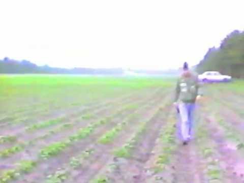 Tonny's Cobra styrter ned.