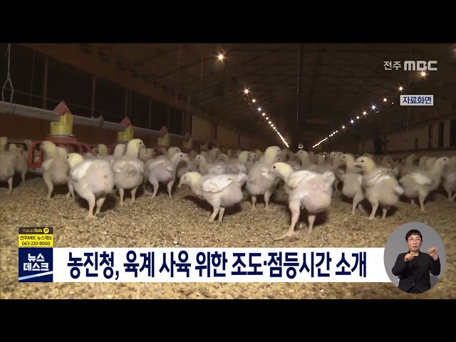 농진청, 육계 사육 위한 조도.점등시간 소개