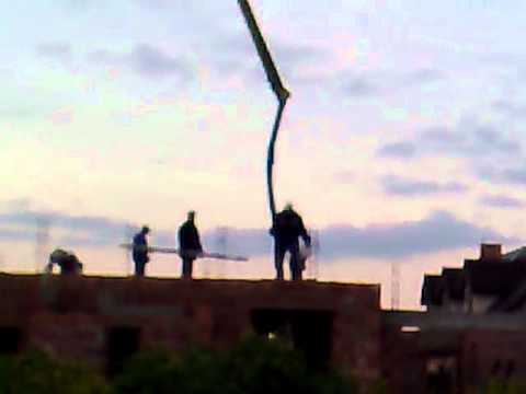 Pcheła zalewa strop