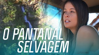 Miniatura do vídeo