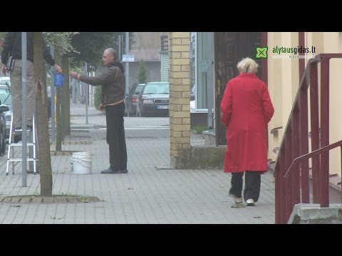 A. Butkevičius ir A. Vrubliauskas aptarė nedarbo problemas Dzūkijoje